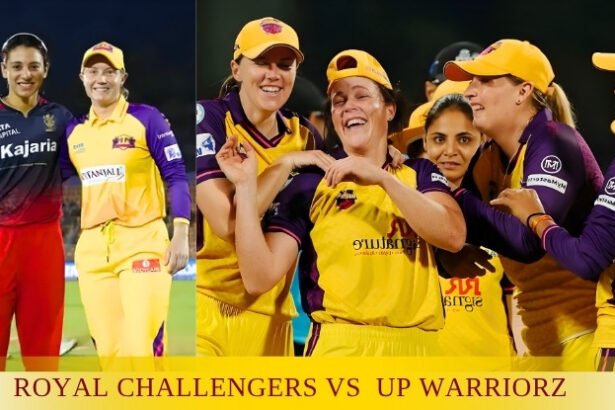 Royal Challengers Cricket vs UP Warriorz Match Scorecard