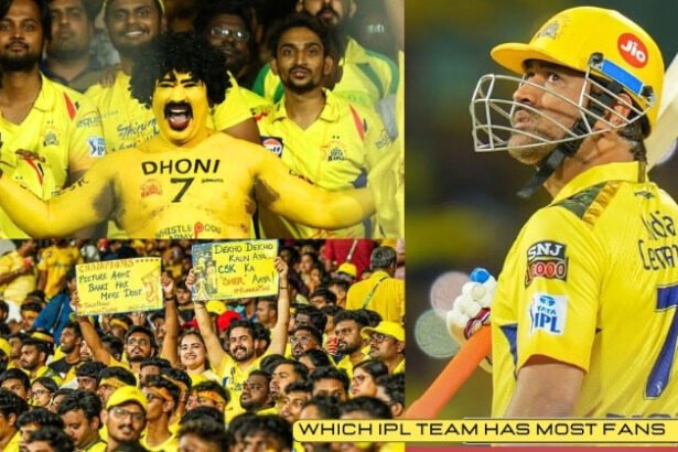 Which IPL Team Has Most Fans