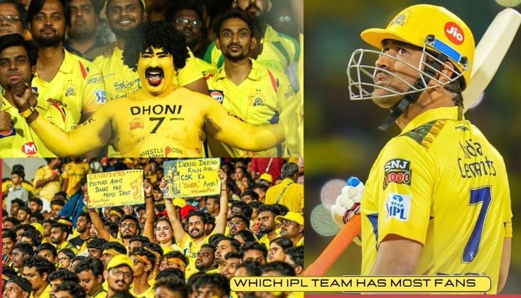 Which IPL Team Has Most Fans